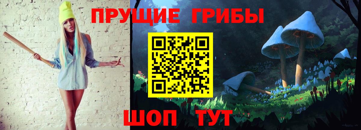Псилоцибиновые грибы прущие грибы Кингисепп